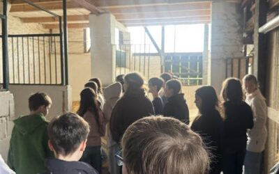 5er auf Gut Halfeshof